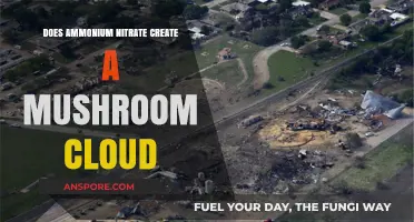 Ammonium Nitrate Explosions: Mushroom Clouds?