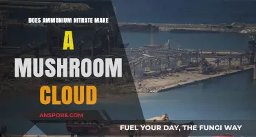 Ammonium Nitrate Explosions: Can They Create Mushroom Clouds?