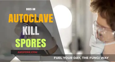 Autoclave Sterilization: Effectiveness in Killing Spores Explained