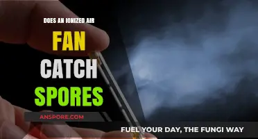 Ionized Air Fans: Effective at Capturing and Eliminating Spores?