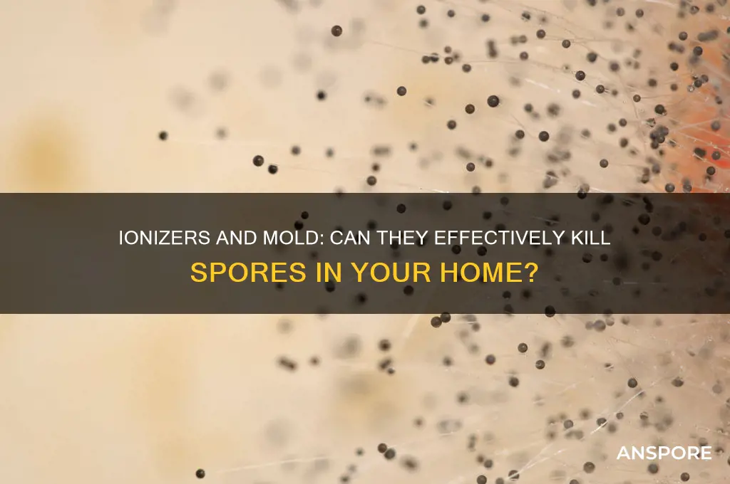 does an ionizer kill mold spores