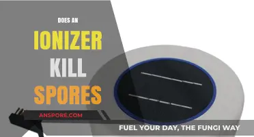 Ionizers and Spores: Do They Effectively Kill or Neutralize Them?