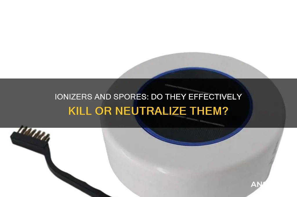 does an ionizer kill spores