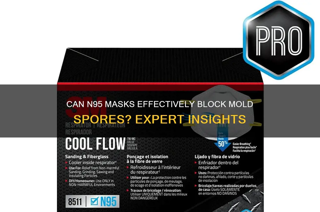 does an n95 mask block mold spores