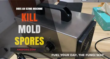 Ozone Machines vs. Mold Spores: Effective Solution or Myth?