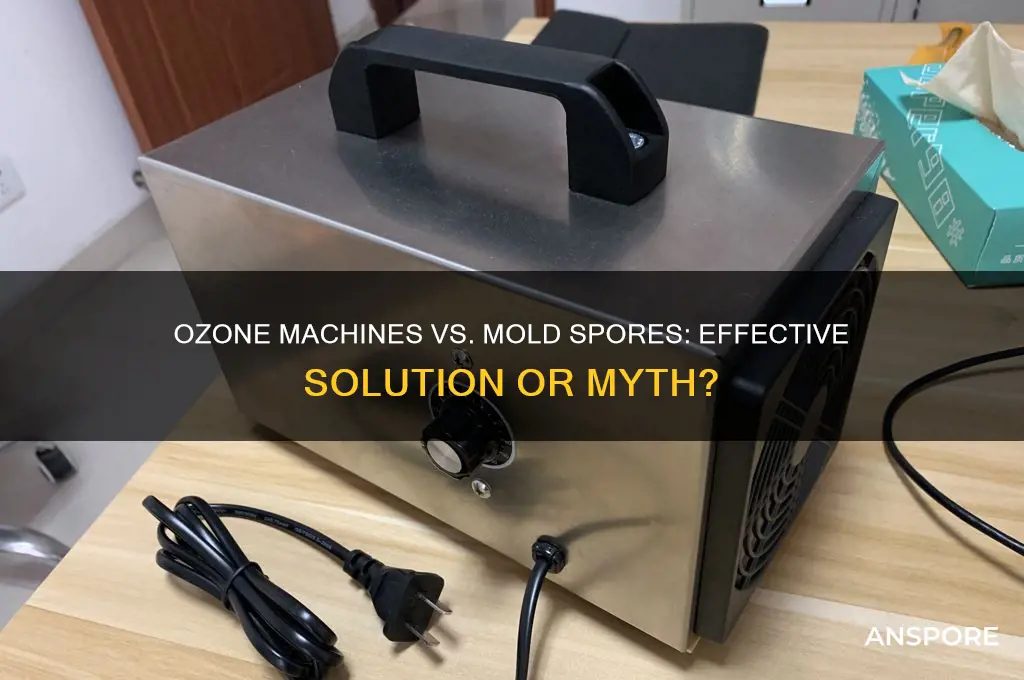 does an ozone machine kill mold spores