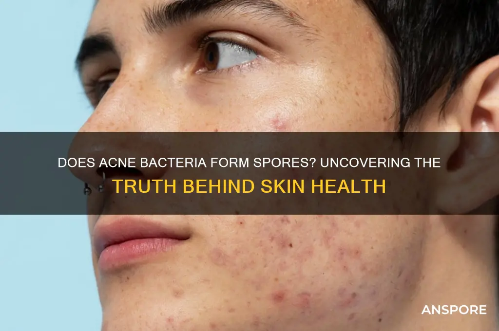 does ance bacteria form a spore