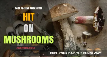 Ancient Aliens and Mushroom Trips: Exploring the Connection