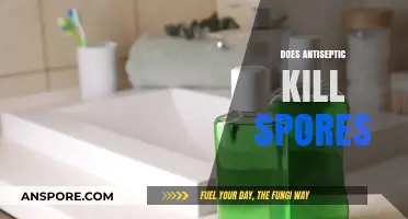 Antiseptic vs. Spores: Can Disinfectants Eliminate Resilient Bacterial Spores?