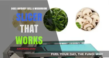 Finding a Mushroom Slicer That Actually Works