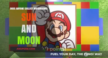 Collecting Sun and Moon Mushrooms: A Hobbyist's Guide