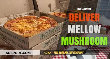 Mellow Mushroom Delivery: Who Delivers the Pizza?