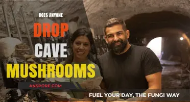 What's the Deal with Cave Mushroom Drops?