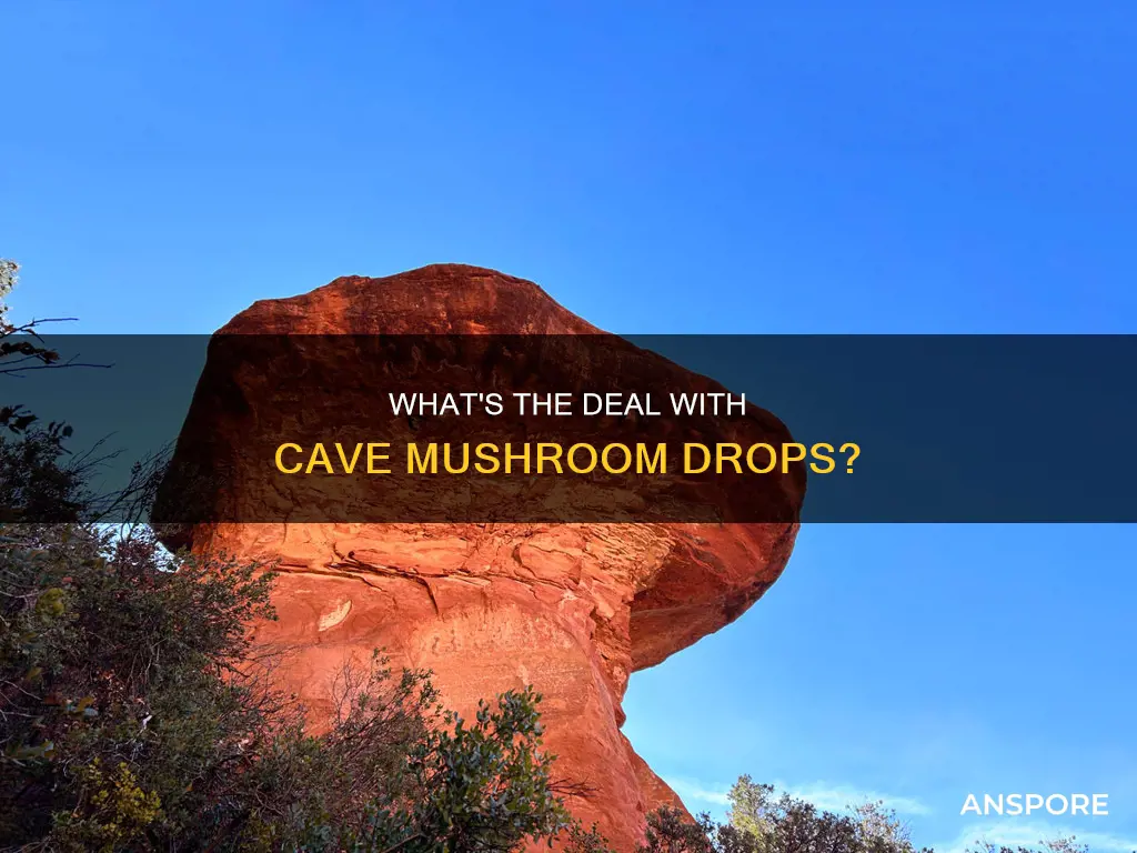 does anyone drop cave mushrooms