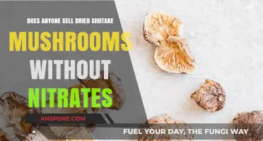 Shiitake Mushrooms: Nitrate-Free Options for the Health-Conscious Shopper