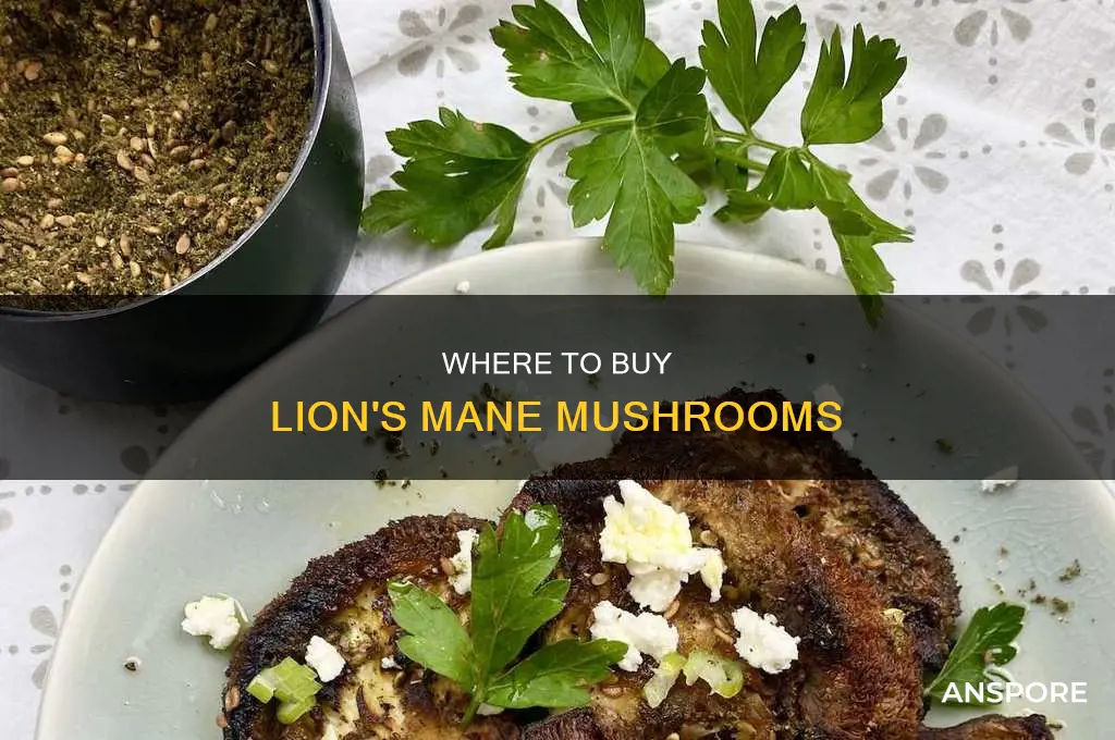 does anyone sell lions mane mushrooms