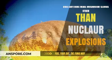 Beyond Nukes: Surprising Phenomena That Create Mushroom Clouds