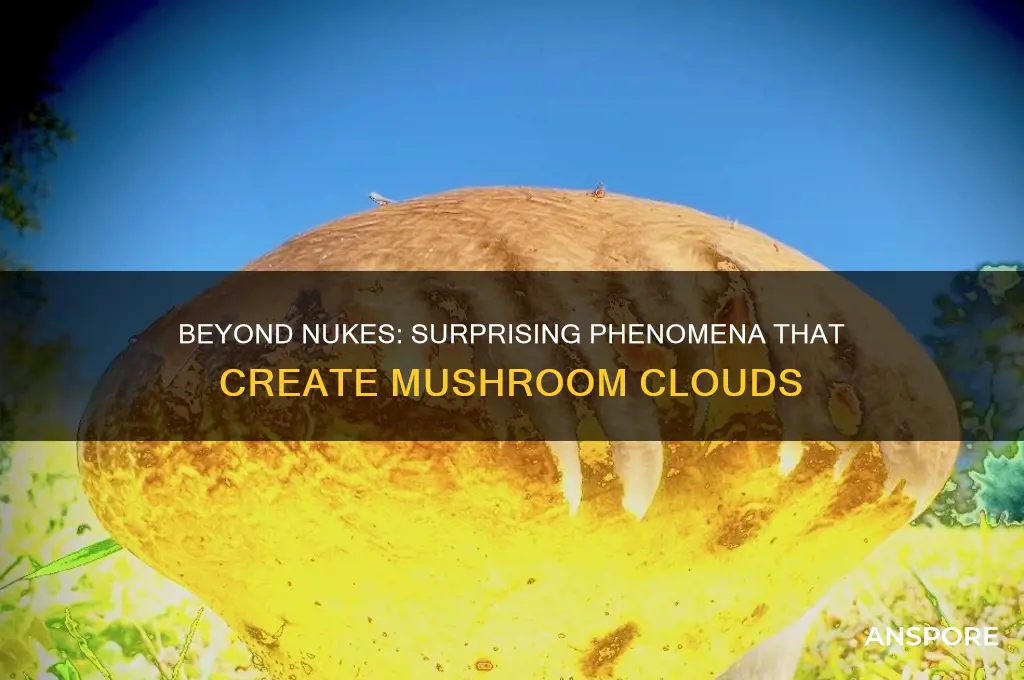 does anything make mushroom clouds other than nuclaur explosions