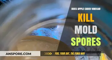 Can Apple Cider Vinegar Effectively Eliminate Mold Spores? Find Out