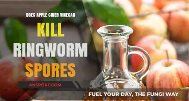 Can Apple Cider Vinegar Eliminate Ringworm Spores? Facts and Myths