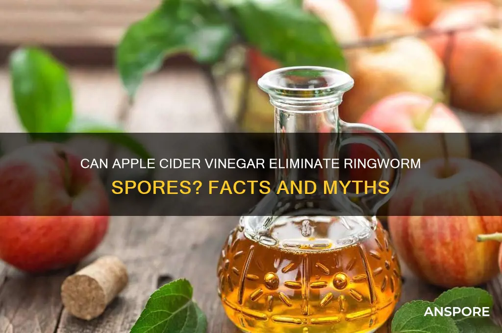 does apple cider vinegar kill ringworm spores