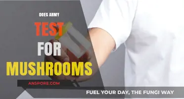 Psychedelic Screening: Army's Stance on Mushroom Use