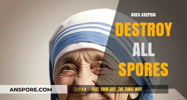 Does Asepsis Eliminate All Spores? Unraveling the Truth