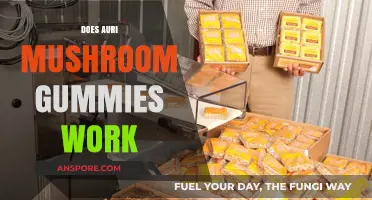 Auri Mushroom Gummies: Do They Work?