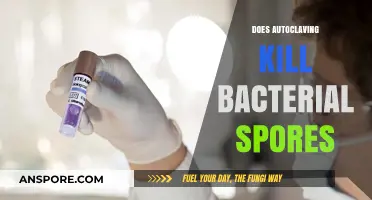 Autoclaving and Bacterial Spores: Does Heat Treatment Ensure Sterility?