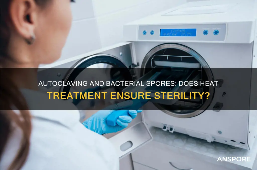 does autoclaving kill bacterial spores