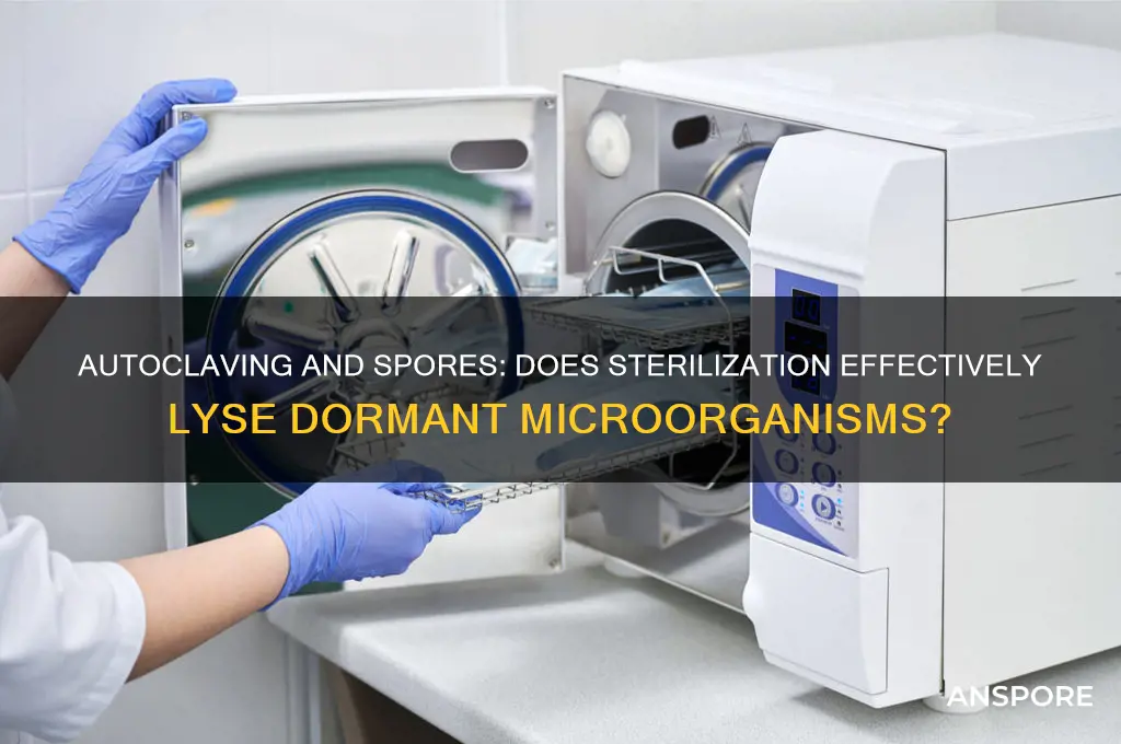 does autoclaving lyse spores