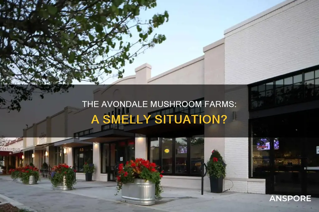does avondale smell of mushroom farms