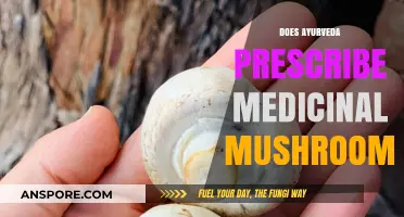 Ayurveda and Medicinal Mushrooms: Ancient Healing