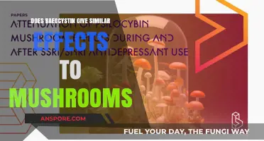 Baeocystin and Mushrooms: Similar Psychoactive Effects?