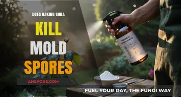 Baking Soda's Power: Can It Effectively Kill Mold Spores?