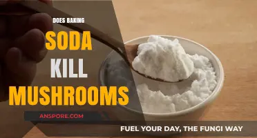 Baking Soda: A Natural Way to Kill Mushrooms?