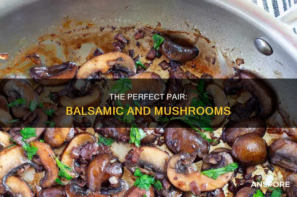 does balsamic vinegar and mushrooms go together