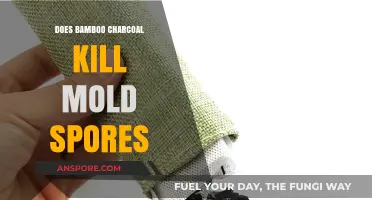Can Bamboo Charcoal Effectively Eliminate Mold Spores in Your Home?