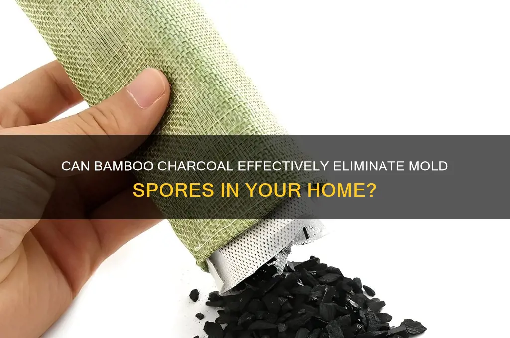 does bamboo charcoal kill mold spores