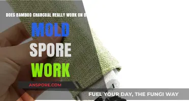 Bamboo Charcoal's Effectiveness Against Black Mold Spores: Fact or Fiction?