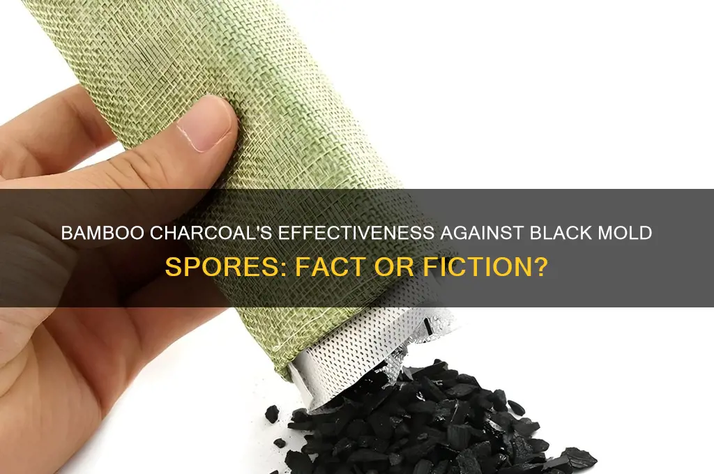does bamboo charcoal really work on black mold spore work