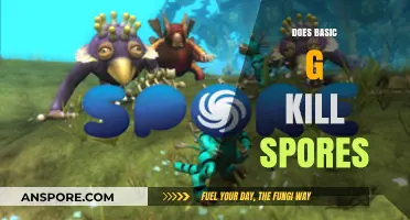 Does Basic G Effectively Kill Spores? A Comprehensive Analysis