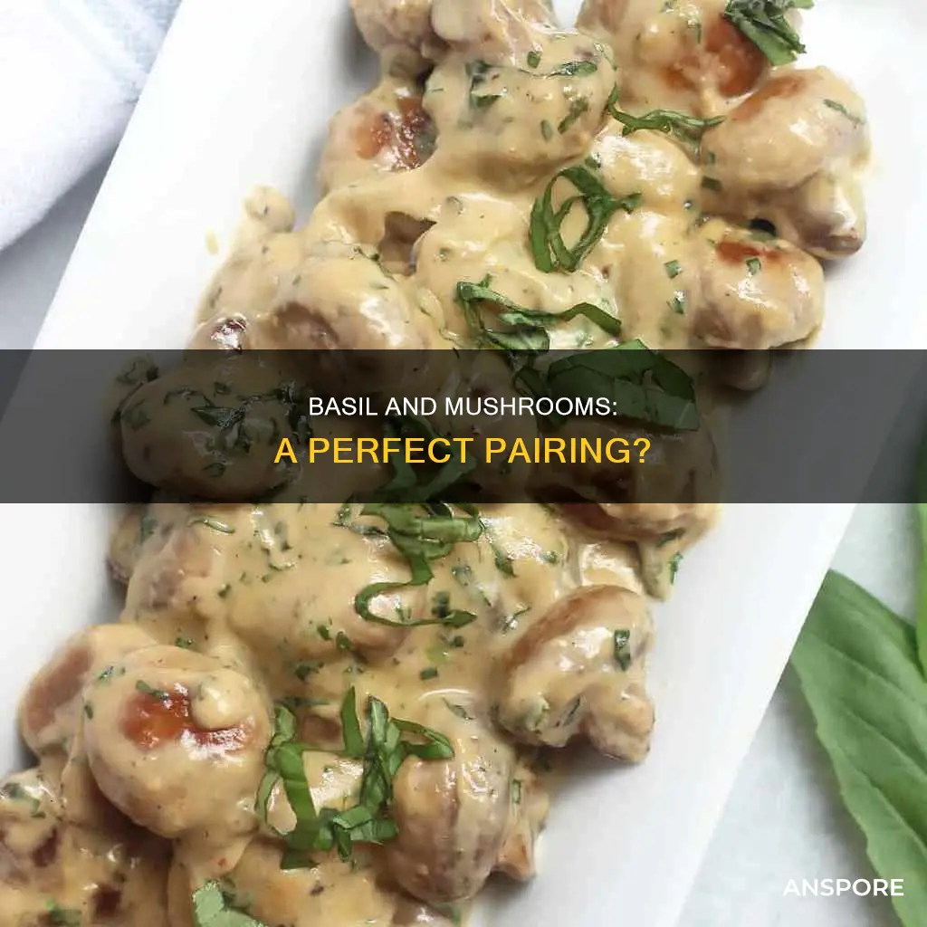 does basil go with mushrooms