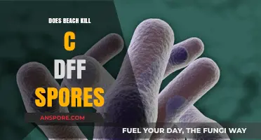 Can Beach Environments Effectively Eliminate C Diff Spores? Exploring the Science