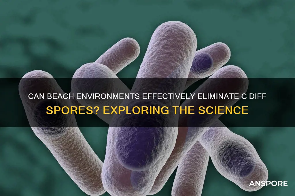 does beach kill c dff spores