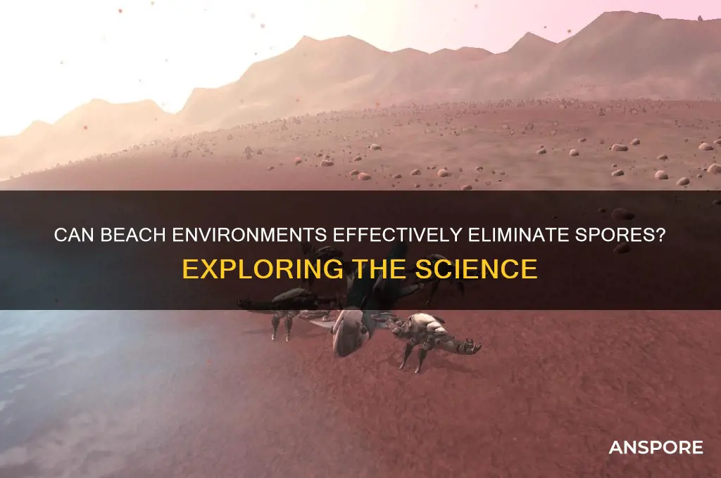 does beach kill spores