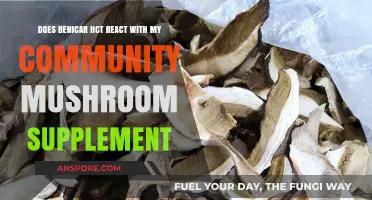 Benicar HCT: Safe with Community Mushroom Supplements?
