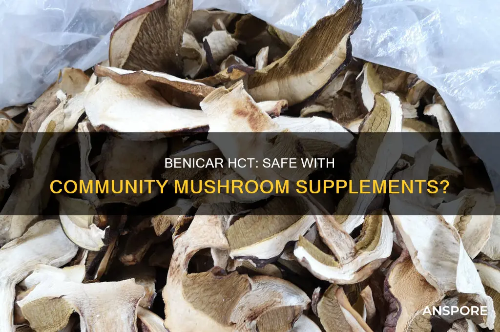does benicar hct react with my community mushroom supplement