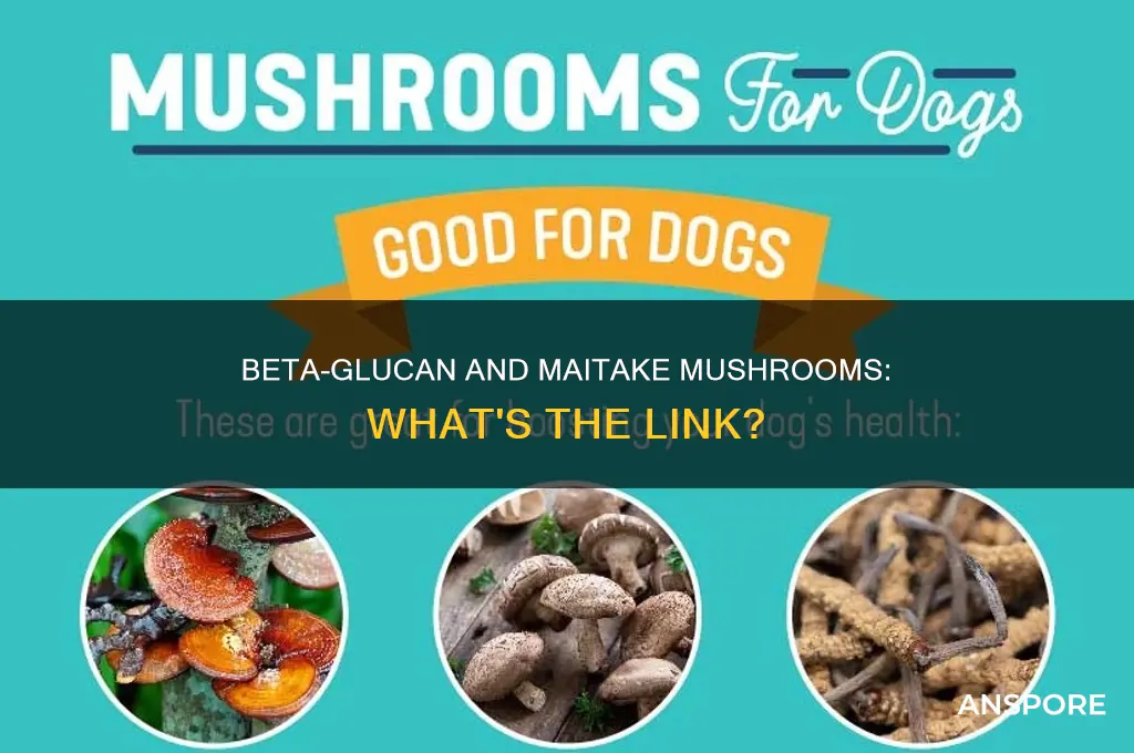 does beta glucan have maitake mushroom in it