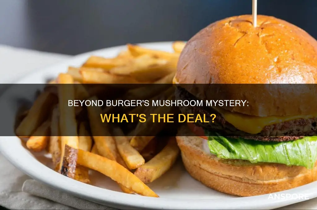 does beyond burger have mushrooms in it
